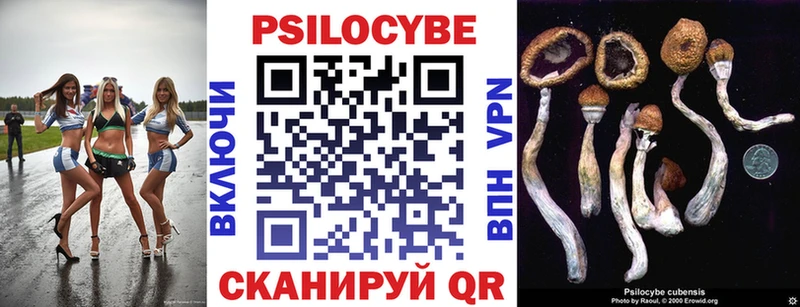 Псилоцибиновые грибы GOLDEN TEACHER  Волчанск 